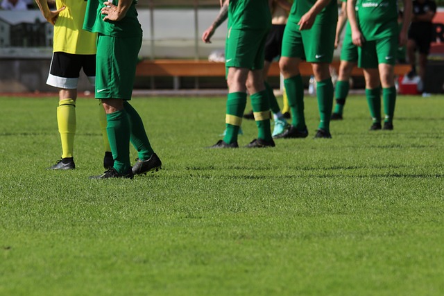 家队的表现 家队的表现