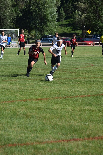 但只要方針 但只要方針