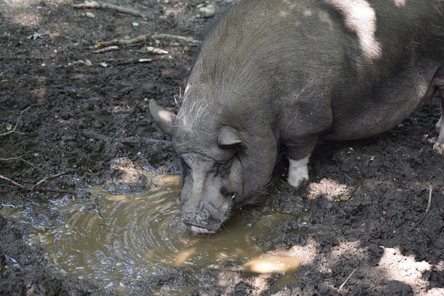 更是战术的 更是战术的