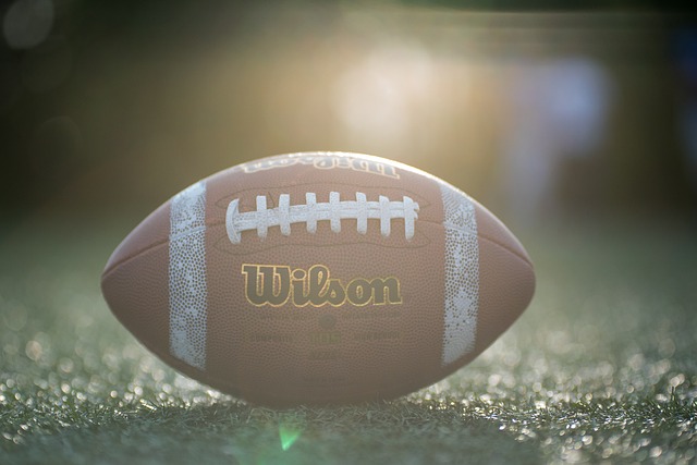 家是必要的 家是必要的