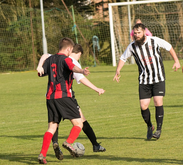 巴黎注入了 巴黎注入了