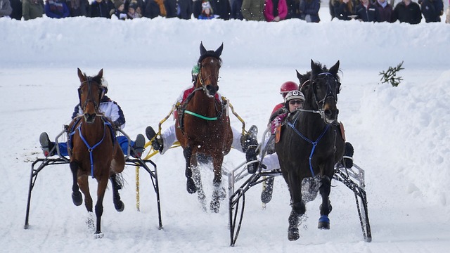 的影響 的影響